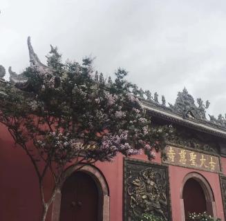 卧龙娱乐：助力公益活动建设，实现经济效益与社会效益的双赢！